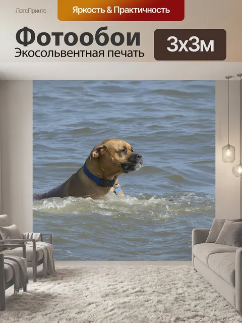 Фотообои Собаки