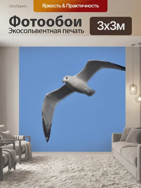 Фотообои Птица
