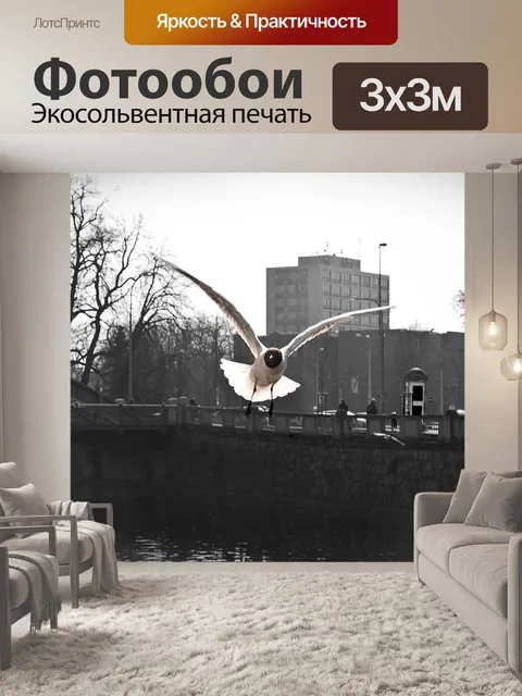 Фотообои Птица