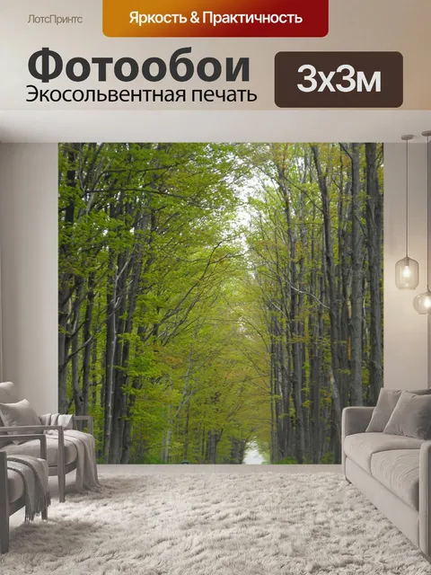 Фотообои Дорога