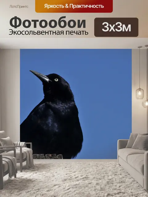 Фотообои Bye Blackbird