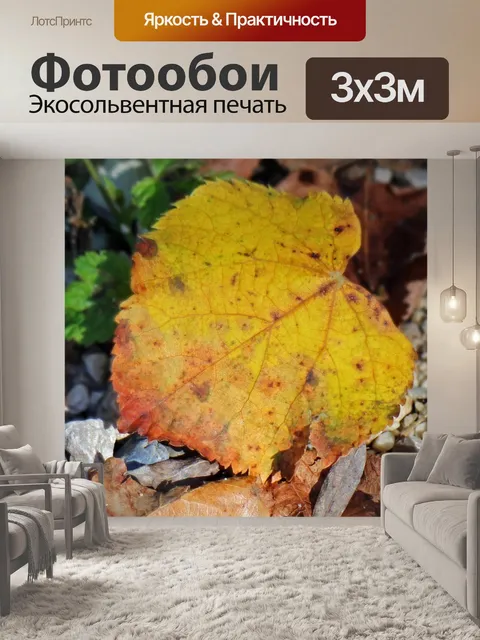 Фотообои Листья