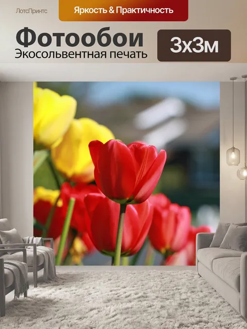 Фотообои Цветы