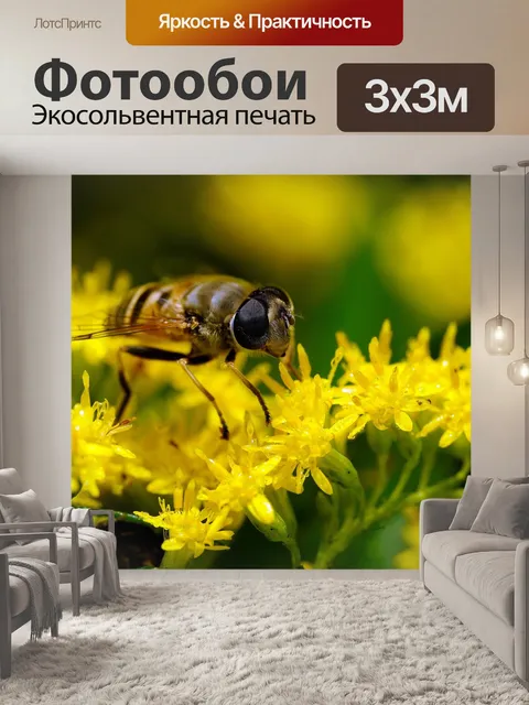 Фотообои Росы