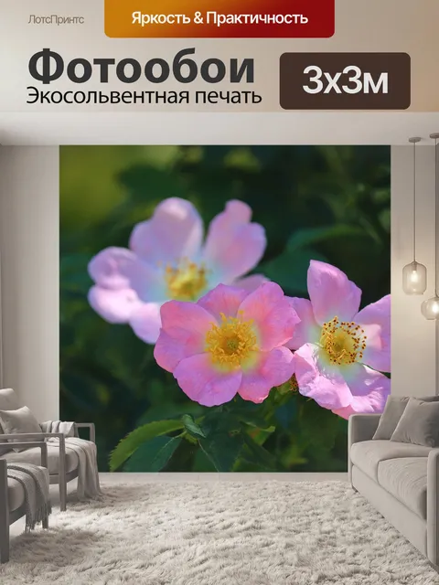 Фотообои Собачьи розы