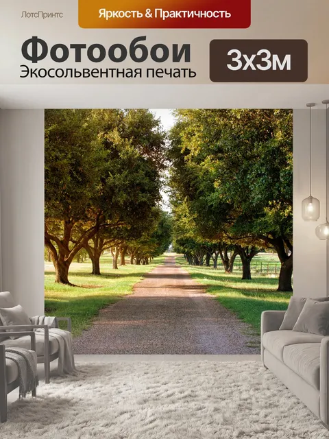 Фотообои Деревья