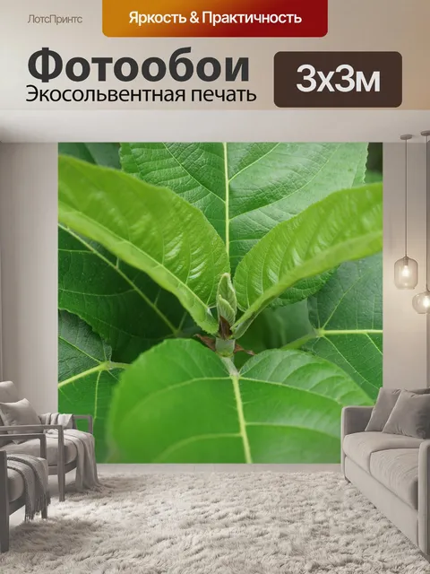 Фотообои Молодые листья