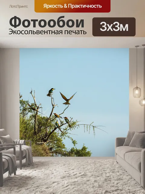 Фотообои Птица