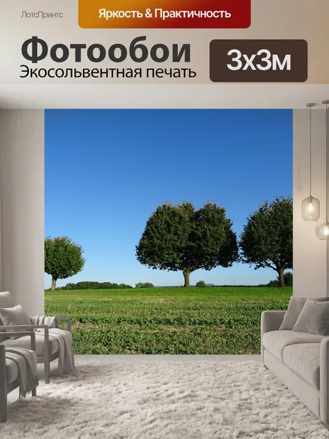 Фотообои Деревья