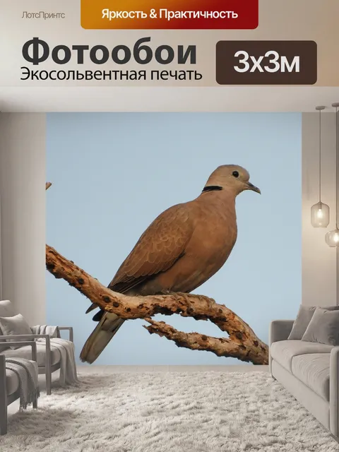 Фотообои Птицы