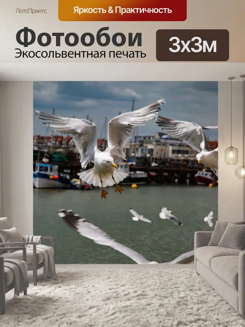 Фотообои Чайки в море