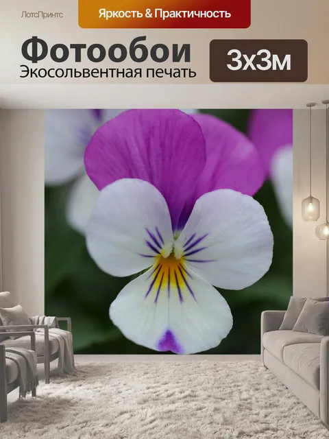 Фотообои Цветы