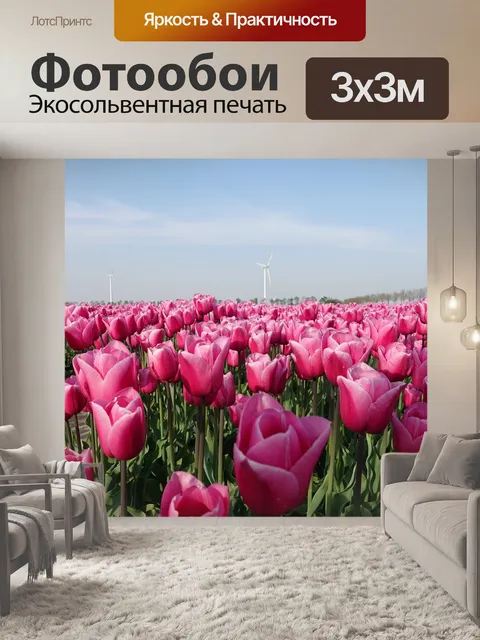 Фотообои Тюльпаны