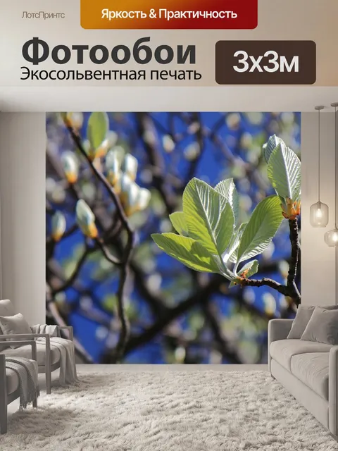 Фотообои Флора