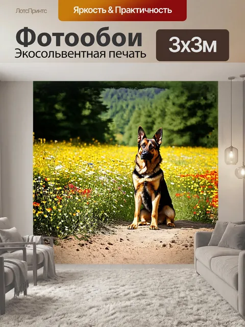 Фотообои старая немецкая овчарка, наблюдающая за поляной, заполненной дикими цветами возле леса