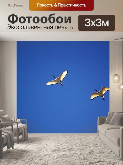 Фотообои Птица