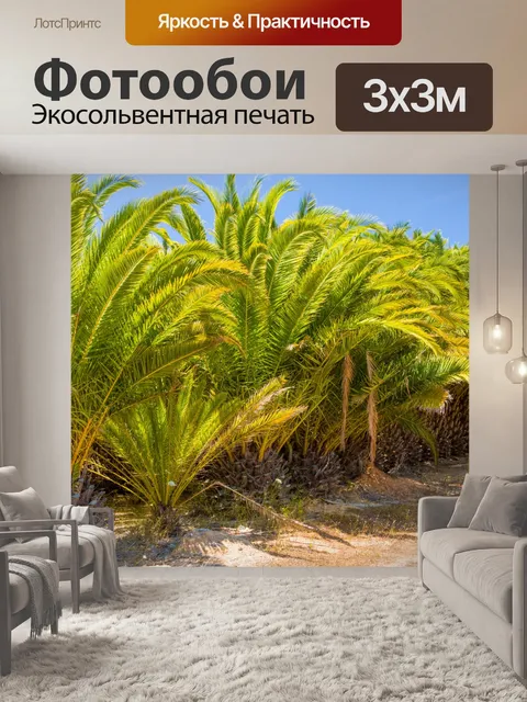 Фотообои Пальмы и голубое небо
