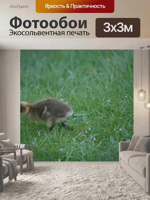 Фотообои Гусь