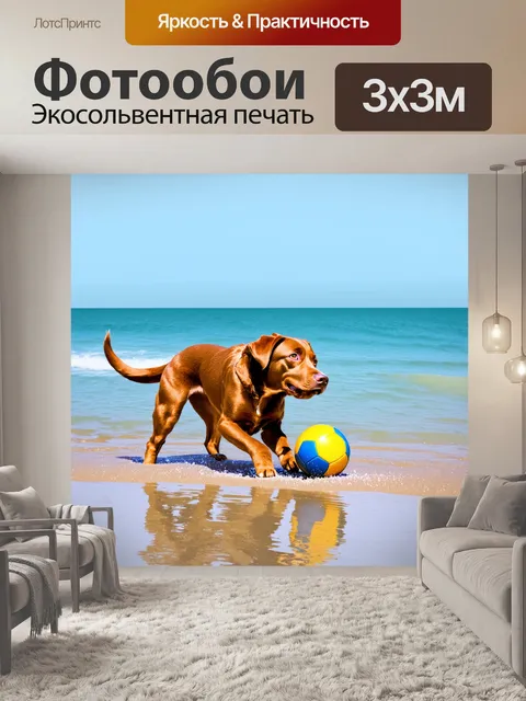 Фотообои изобразите коричневого лабрадора-ретривера, который играет с мячом на берегу моря, в яркий солнечный день