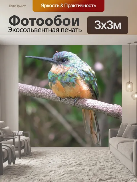 Фотообои Птица