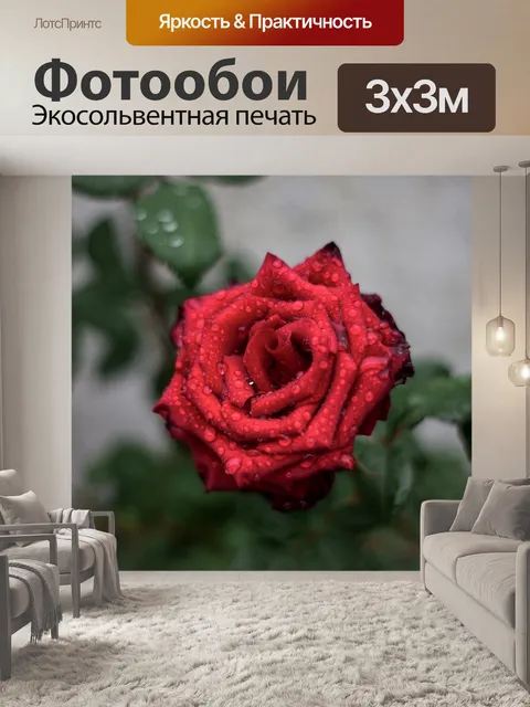 Фотообои Роза