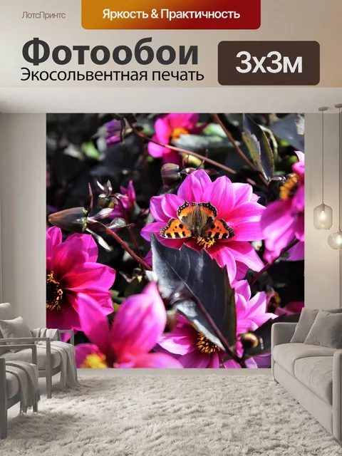 Фотообои Бабочка