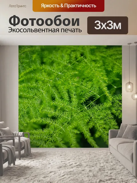 Фотообои Папоротник