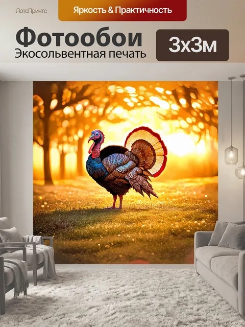 Фотообои в тёплом, золотом свете заката, величественный индюк раскинул свой роскошный хвост, украшенный сложными…
