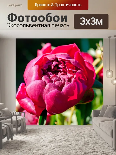 Фотообои Природа