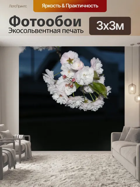 Фотообои Сакура