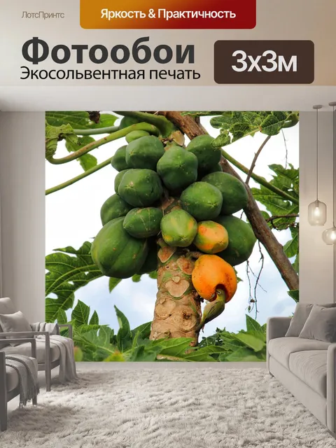 Фотообои Птица