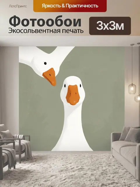 Фотообои Две белые гусиные морды