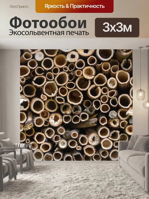 Фотообои крупный план насекомых