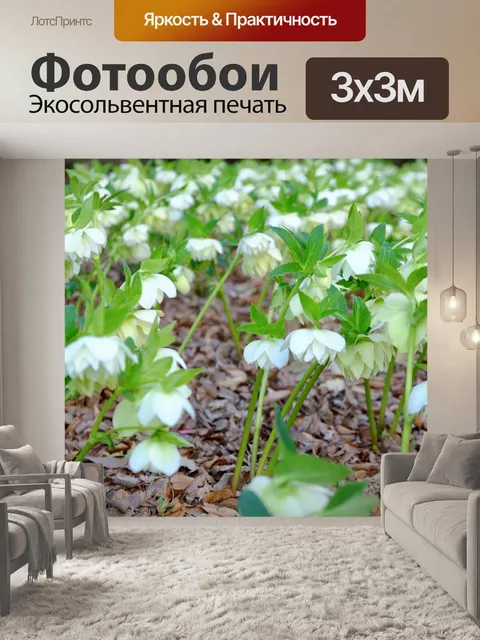 Фотообои Рождество розы