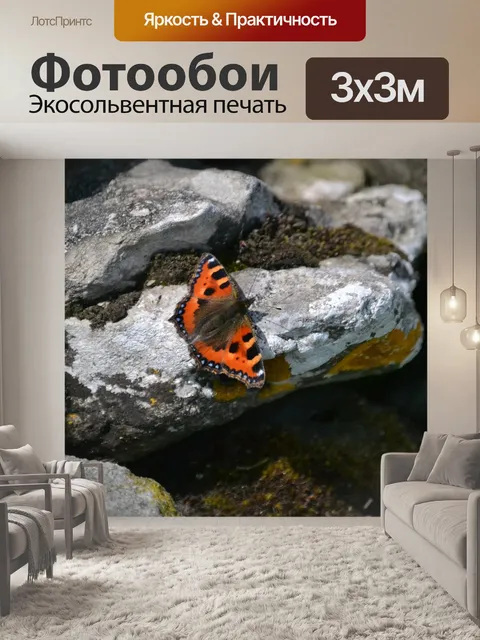 Фотообои Бабочка