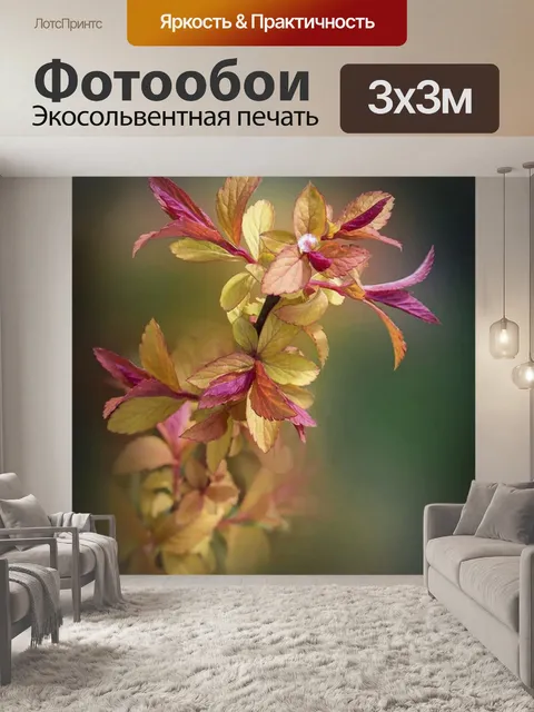 Фотообои Веточка