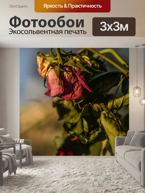 Фотообои Розы