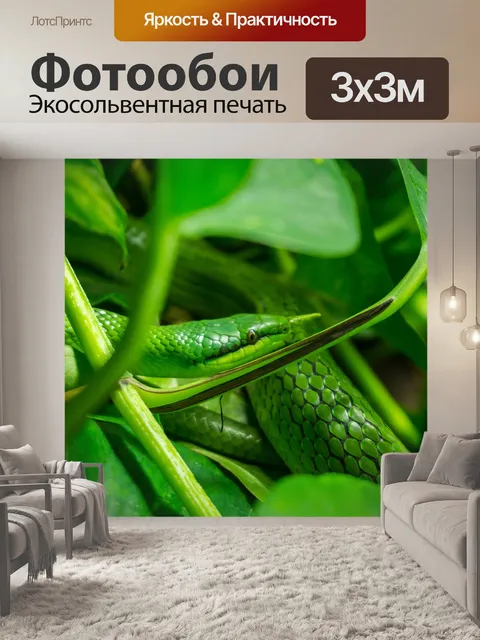 Фотообои Линия