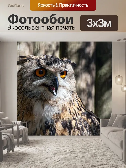 Фотообои Филин