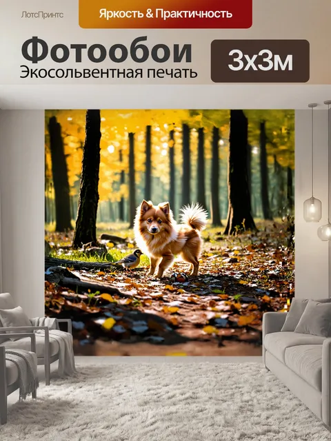 Фотообои на солнечной поляне в лесу