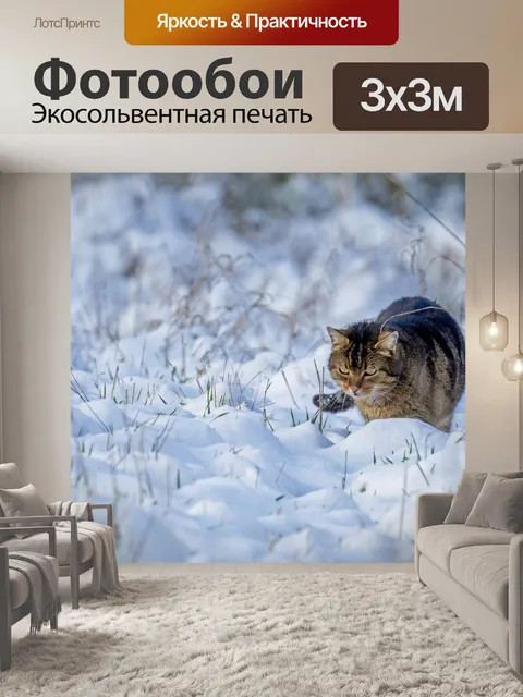 Фотообои Кошка