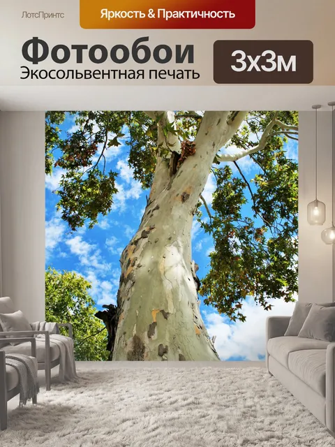 Фотообои самолет ствол дерева