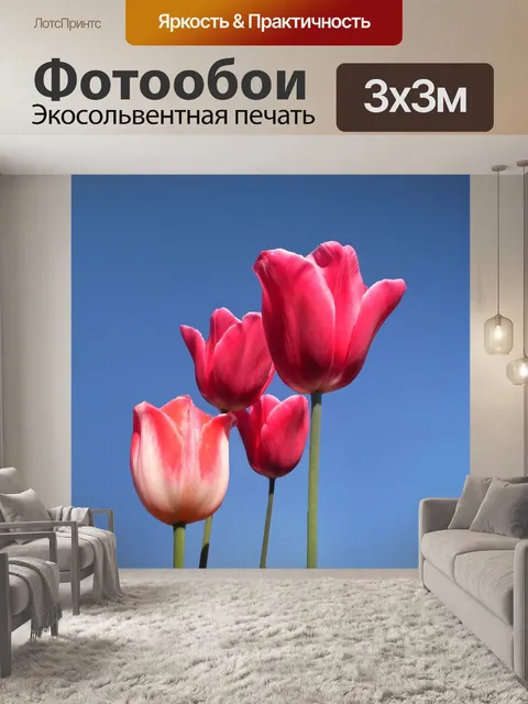 Фотообои Тюльпаны