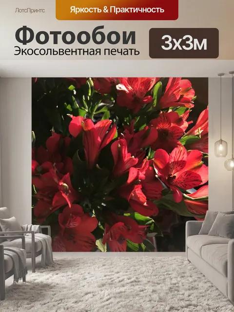 Фотообои Альстромерия