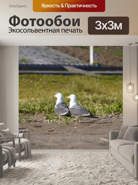 Фотообои Животное