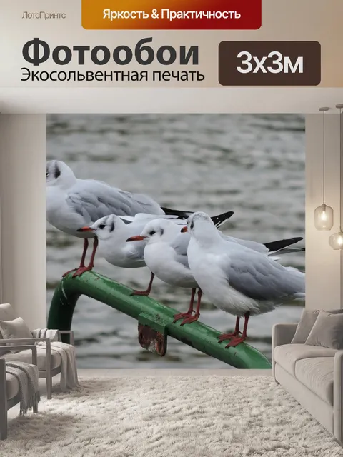 Фотообои Река рейн