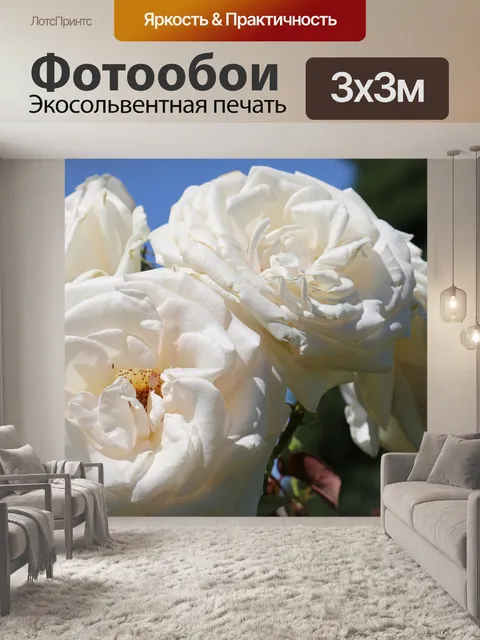 Фотообои Розы