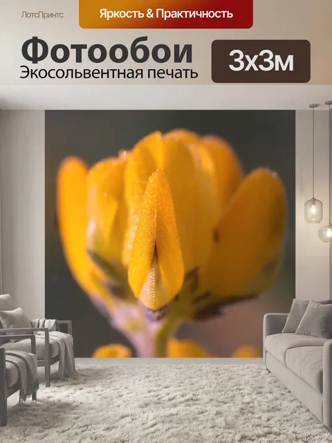 Фотообои Луг