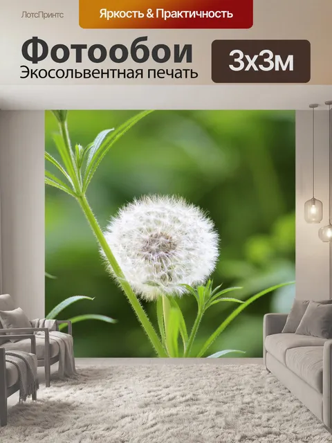 Фотообои Одуванчик