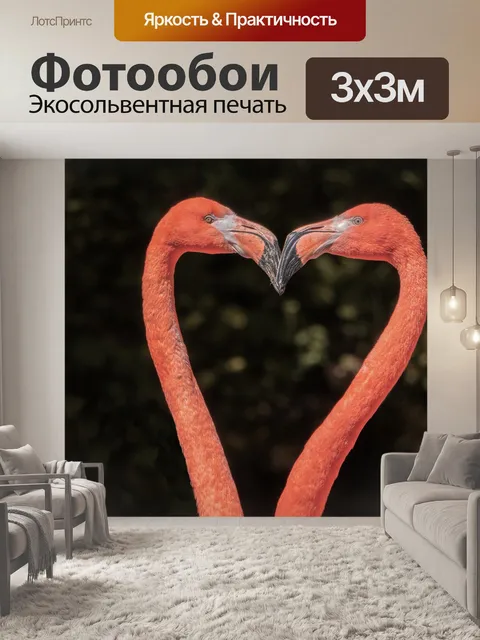 Фотообои Фламинго